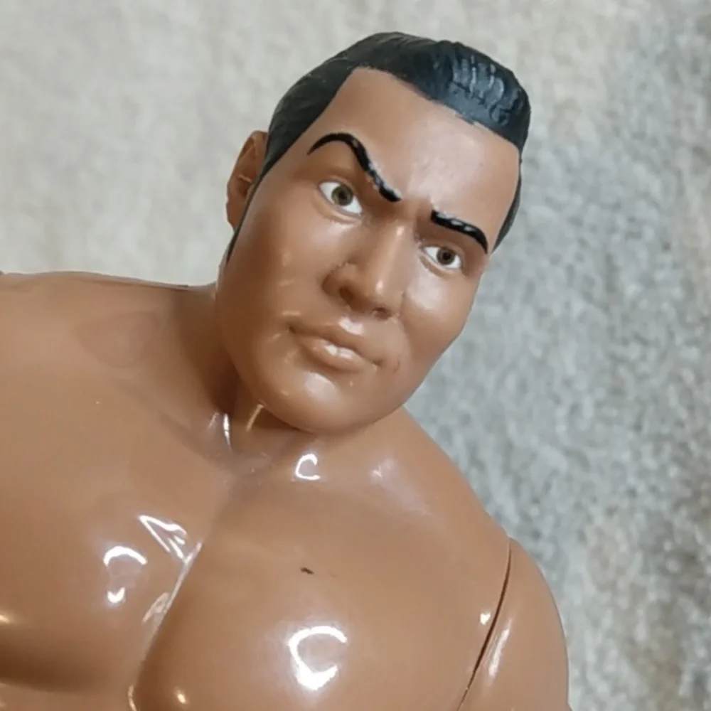 Mattel wwe wrestling